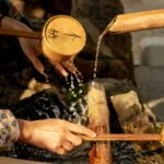 svetlana-gumerova-FS-6Mb_Am5Y-unsplash